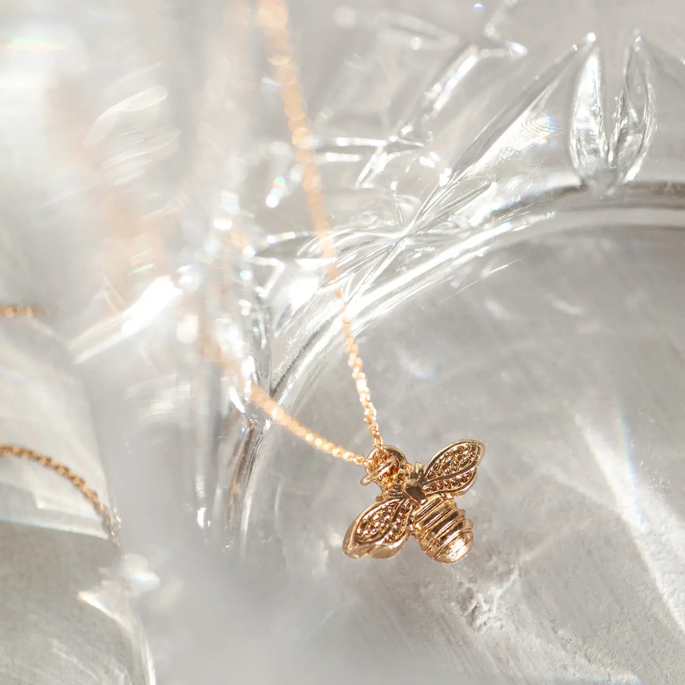 Bi Halsband - Image 4