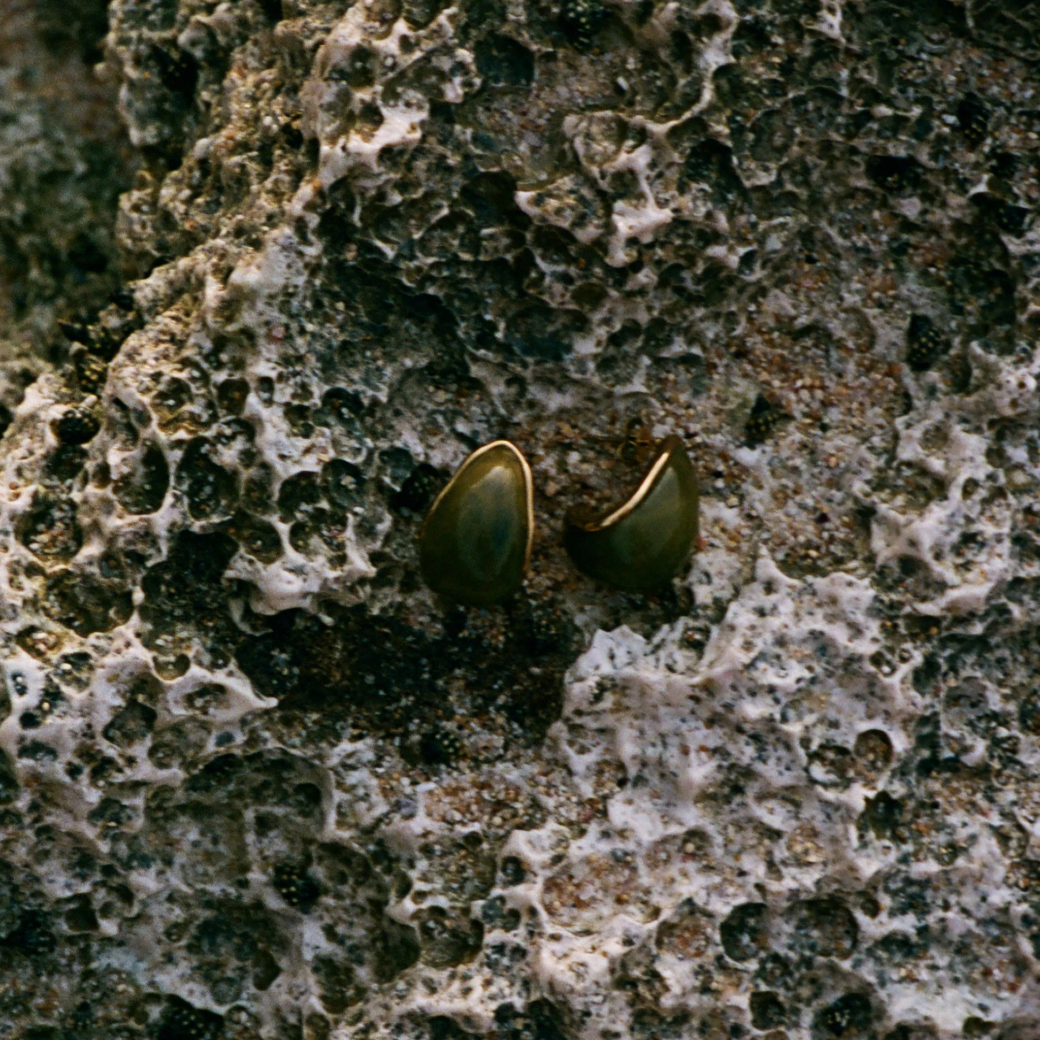 Carin - Grön Resin Örhängen Rostfritt Stål - Image 7