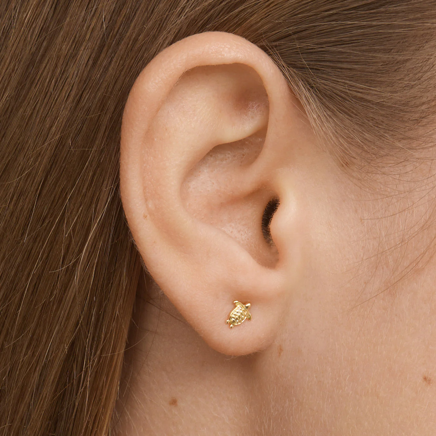 Lori - Mini Studs Örhängen Sköldpadda - Image 4