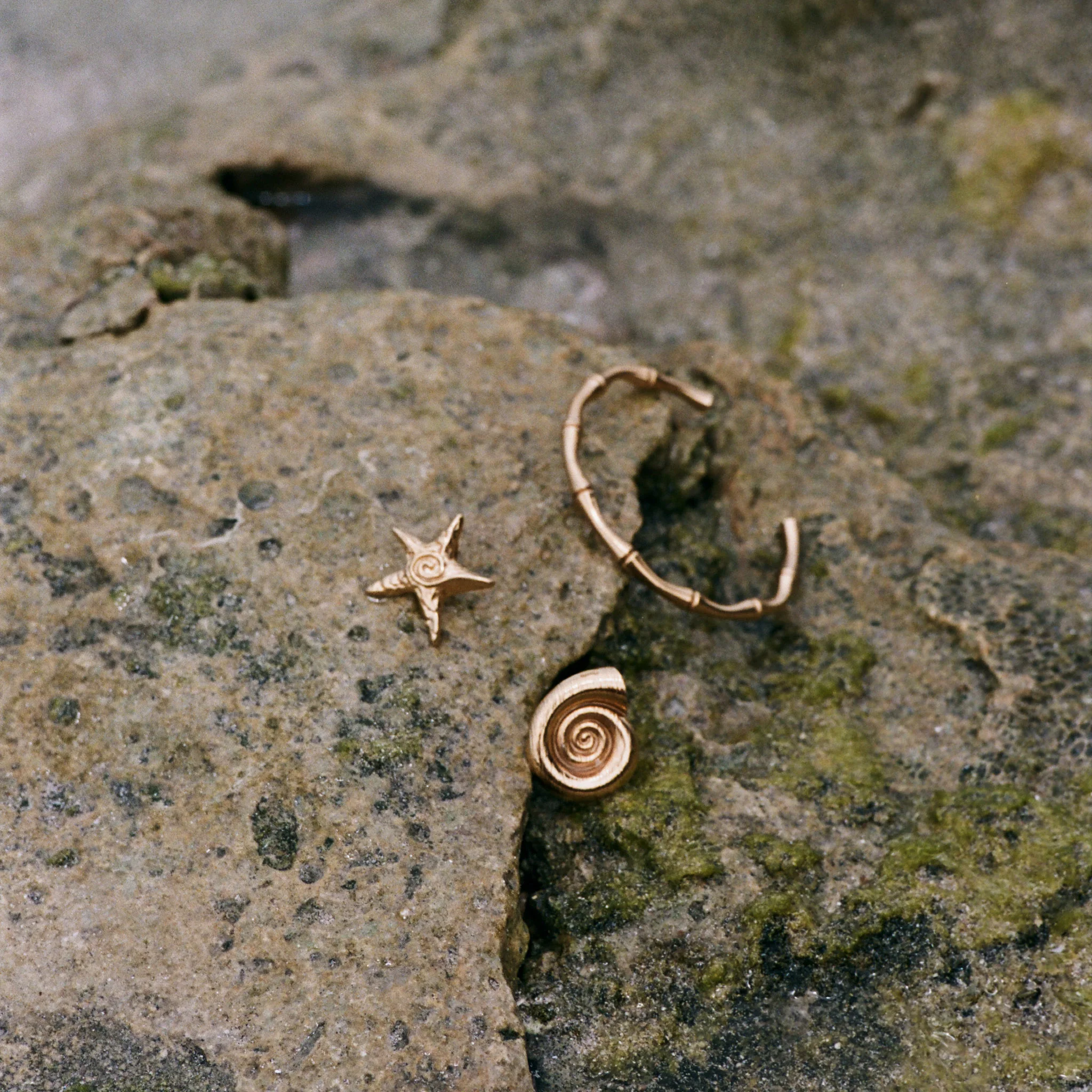 Malin - Studs Örhängen Sjöstjärna Rostfritt Stål - Image 3